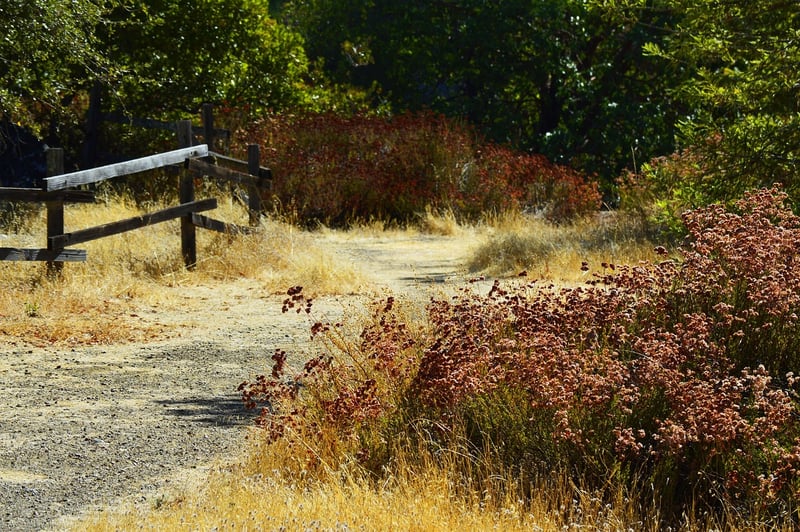 Pebble Walkways