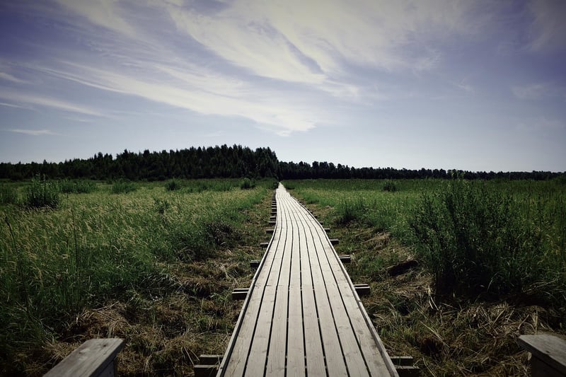 Zen Paths