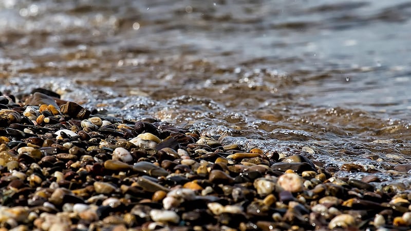 Pebble Walkway Design
