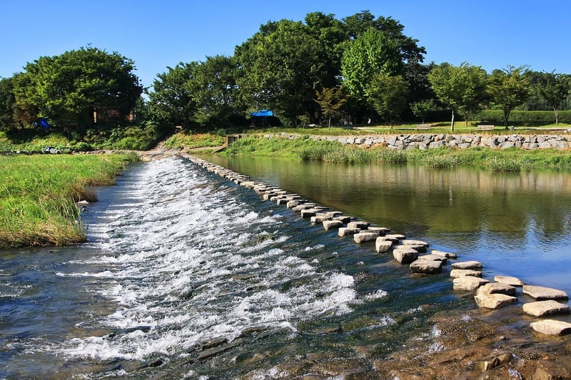 Stepping Stones