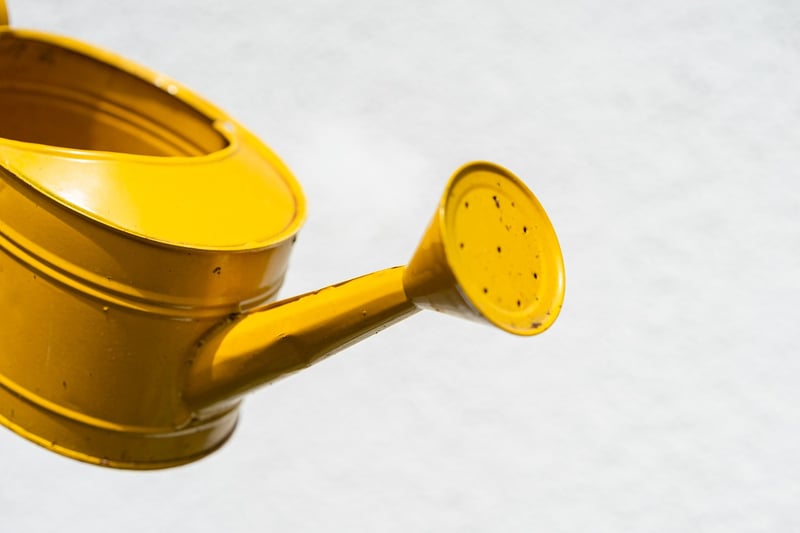Watering Can Fountain